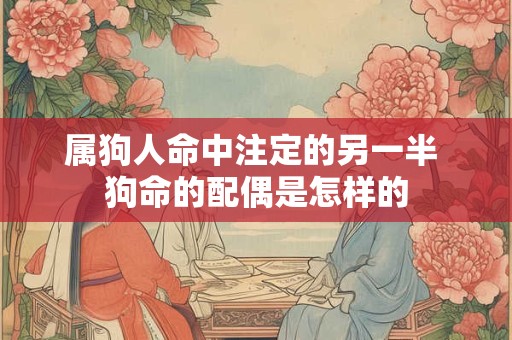 属狗人命中注定的另一半 狗命的配偶是怎样的