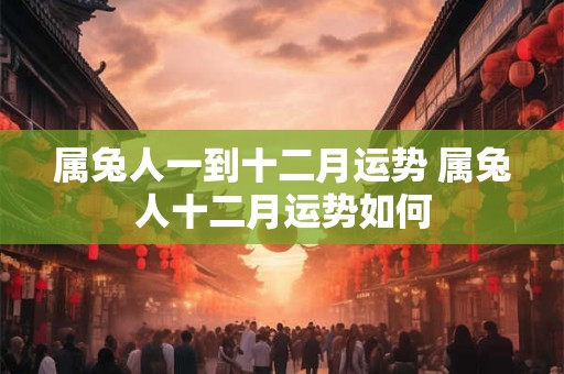 属兔人一到十二月运势 属兔人十二月运势如何