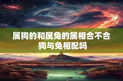属狗的和属兔的属相合不合 狗与兔相配吗