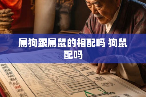 属狗跟属鼠的相配吗 狗鼠配吗 属狗跟属鼠的相配吗 狗鼠配吗
