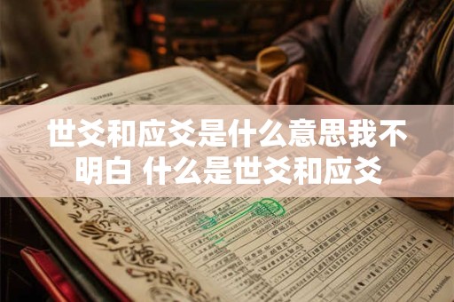 世爻和应爻是什么意思我不明白 什么是世爻和应爻
