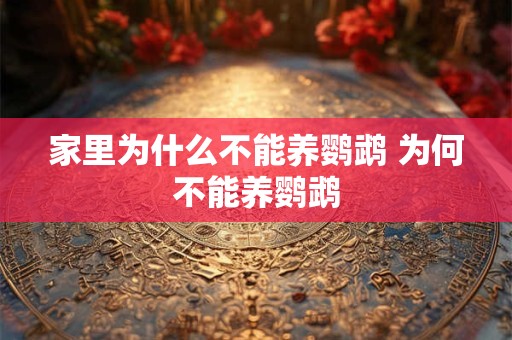 家里为什么不能养鹦鹉 为何不能养鹦鹉