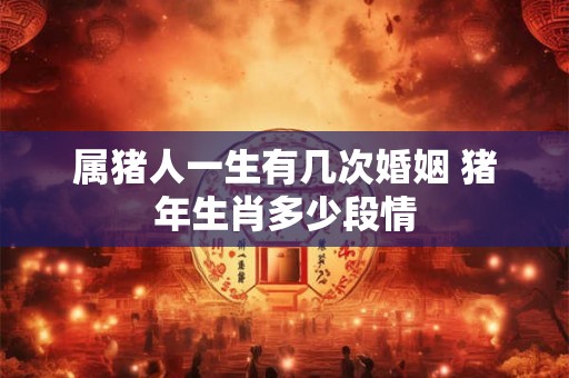 属猪人一生有几次婚姻 猪年生肖多少段情 属猪人一生有几次婚姻 猪年生肖多少段情