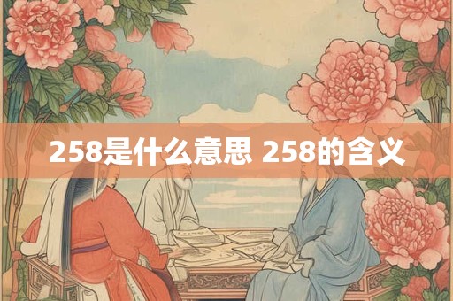 258是什么意思 258的含义