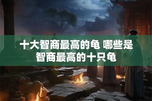 十大智商最高的龟 哪些是智商最高的十只龟