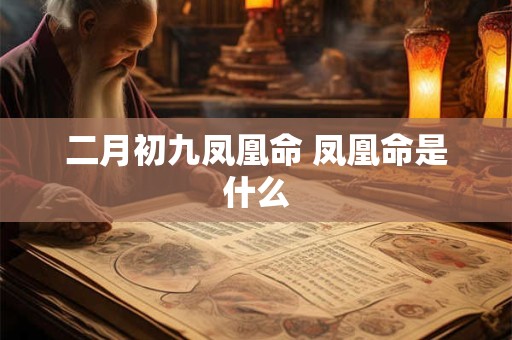 二月初九凤凰命 凤凰命是什么