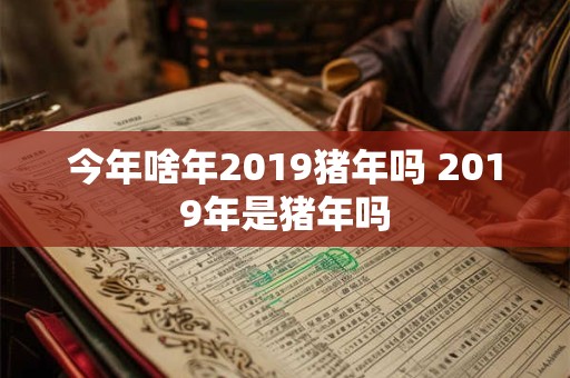 今年啥年2019猪年吗 2019年是猪年吗