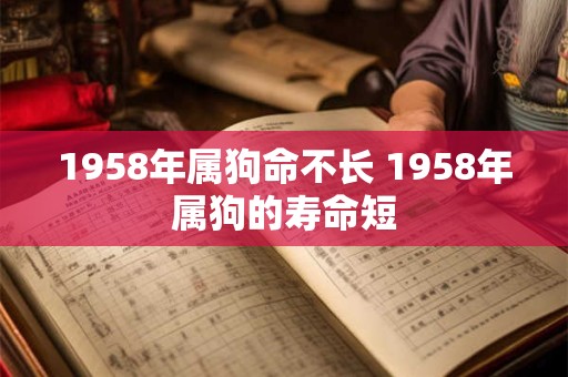 1958年属狗命不长 1958年属狗的寿命短
