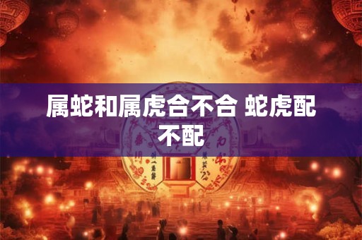 属蛇和属虎合不合 蛇虎配不配