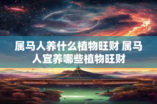 属马人养什么植物旺财 属马人宜养哪些植物旺财