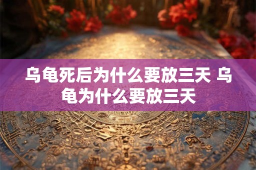 乌龟死后为什么要放三天 乌龟为什么要放三天