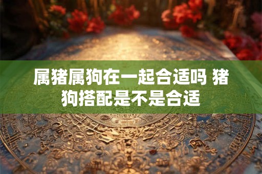 属猪属狗在一起合适吗 猪狗搭配是不是合适