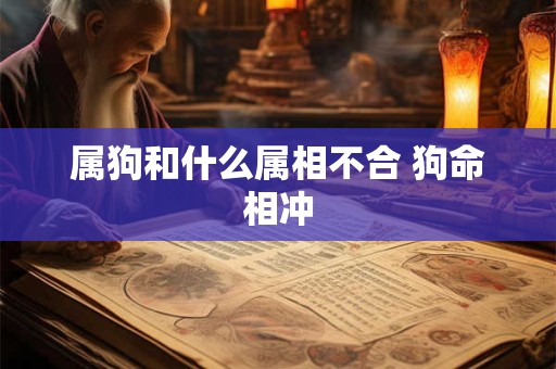 属狗和什么属相不合 狗命相冲 属狗和什么属相不合 狗命相冲