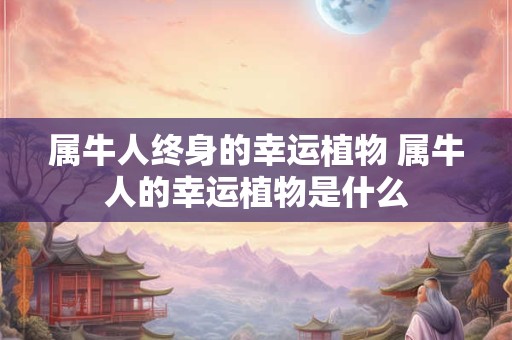 属牛人终身的幸运植物 属牛人的幸运植物是什么