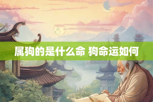 属狗的是什么命 狗命运如何 属狗的是什么命 狗命运如何