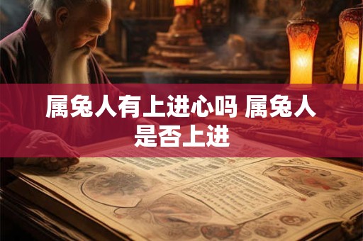 属兔人有上进心吗 属兔人是否上进