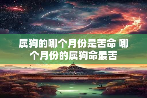 属狗的哪个月份是苦命 哪个月份的属狗命最苦