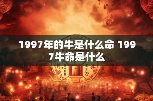 1997年的牛是什么命 1997牛命是什么