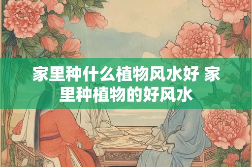 家里种什么植物风水好 家里种植物的好风水