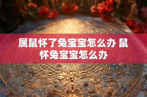 属鼠怀了兔宝宝怎么办 鼠怀兔宝宝怎么办