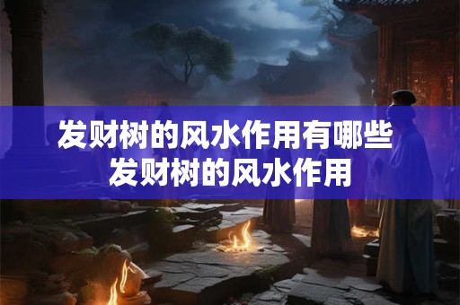 发财树的风水作用有哪些 发财树的风水作用