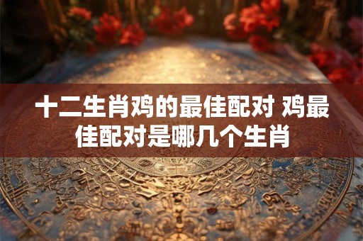 十二生肖鸡的最佳配对 鸡最佳配对是哪几个生肖