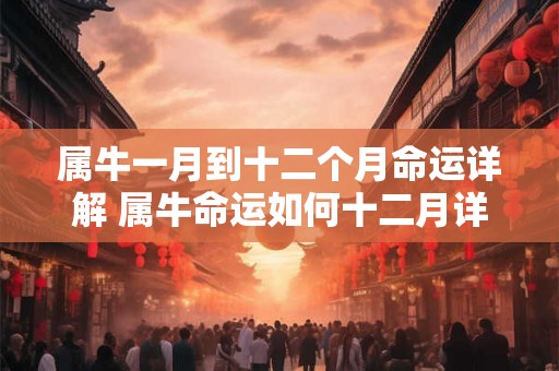 属牛一月到十二个月命运详解 属牛命运如何十二月详解