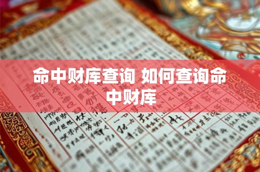 命中财库查询 如何查询命中财库