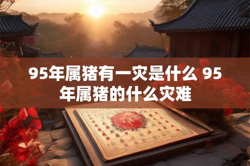 95年属猪有一灾是什么 95年属猪的什么灾难