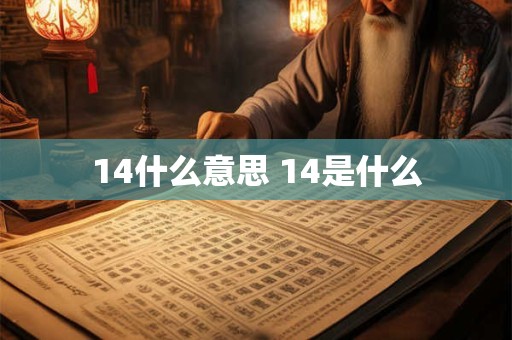 14什么意思 14是什么