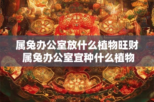 属兔办公室放什么植物旺财 属兔办公室宜种什么植物招财