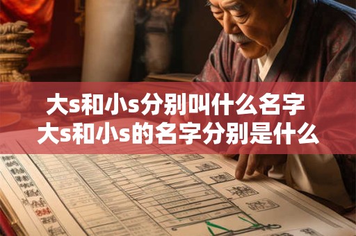 大s和小s分别叫什么名字 大s和小s的名字分别是什么