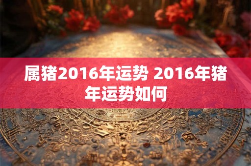 属猪2016年运势 2016年猪年运势如何 属猪2016年运势 2016年猪年运势如何