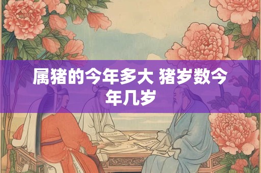 属猪的今年多大 猪岁数今年几岁 属猪的今年多大 猪岁数今年几岁