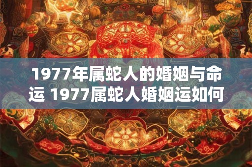 1977年属蛇人的婚姻与命运 1977属蛇人婚姻运如何