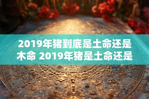 2019年猪到底是土命还是木命 2019年猪是土命还是木命 2019年猪到底是土命还是木命 2019年猪是土命还是木命