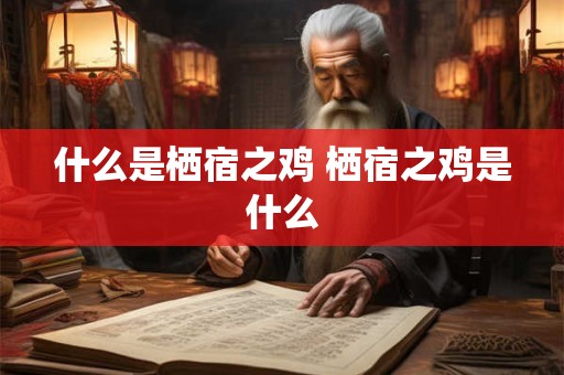 什么是栖宿之鸡 栖宿之鸡是什么 什么是栖宿之鸡 栖宿之鸡是什么