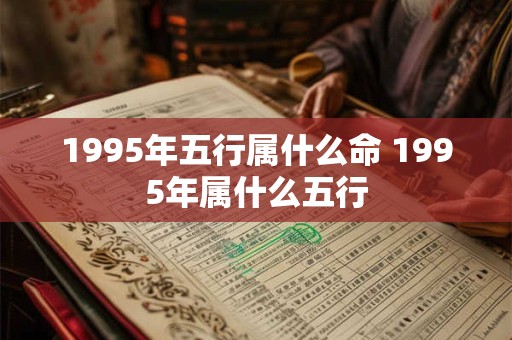 1995年五行属什么命 1995年属什么五行