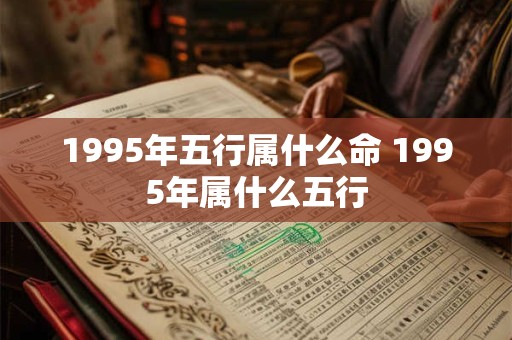 1995年五行属什么命 1995年属什么五行