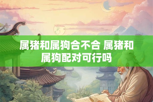 属猪和属狗合不合 属猪和属狗配对可行吗 属猪和属狗合不合 属猪和属狗配对可行吗