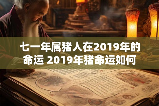 七一年属猪人在2019年的命运 2019年猪命运如何
