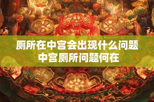 厕所在中宫会出现什么问题 中宫厕所问题何在