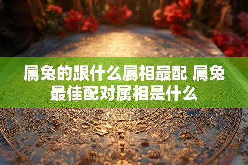 属兔的跟什么属相最配 属兔最佳配对属相是什么