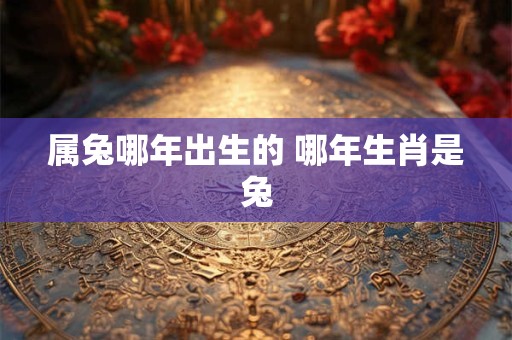 属兔哪年出生的 哪年生肖是兔