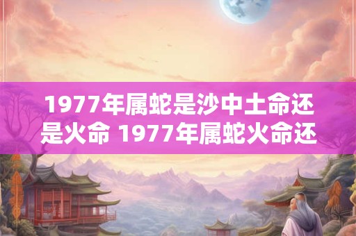 1977年属蛇是沙中土命还是火命 1977年属蛇火命还是土命 1977年属蛇是沙中土命还是火命 1977年属蛇火命还是土命