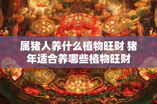 属猪人养什么植物旺财 猪年适合养哪些植物旺财 属猪人养什么植物旺财 猪年适合养哪些植物旺财