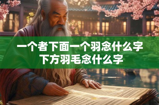 一个者下面一个羽念什么字 下方羽毛念什么字 一个者下面一个羽念什么字 下方羽毛念什么字