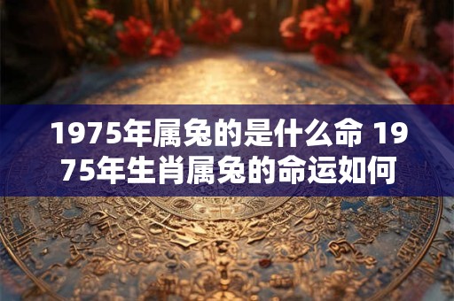 1975年属兔的是什么命 1975年生肖属兔的命运如何