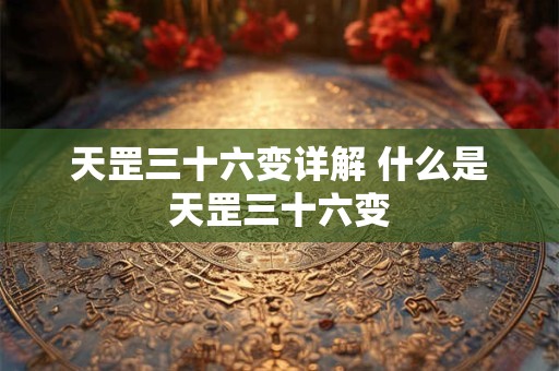 天罡三十六变详解 什么是天罡三十六变 天罡三十六变详解 什么是天罡三十六变
