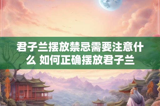 君子兰摆放禁忌需要注意什么 如何正确摆放君子兰